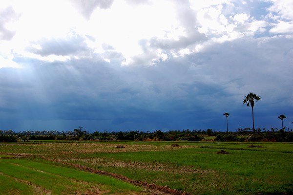 Pretty views from the jeep ride out to Tamao from Phnom Penh