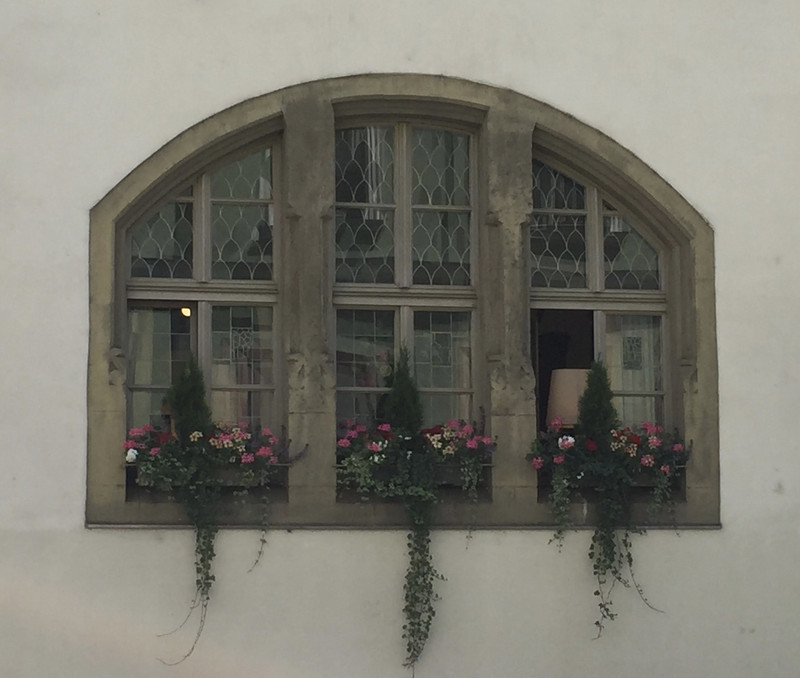 Lovely window boxes