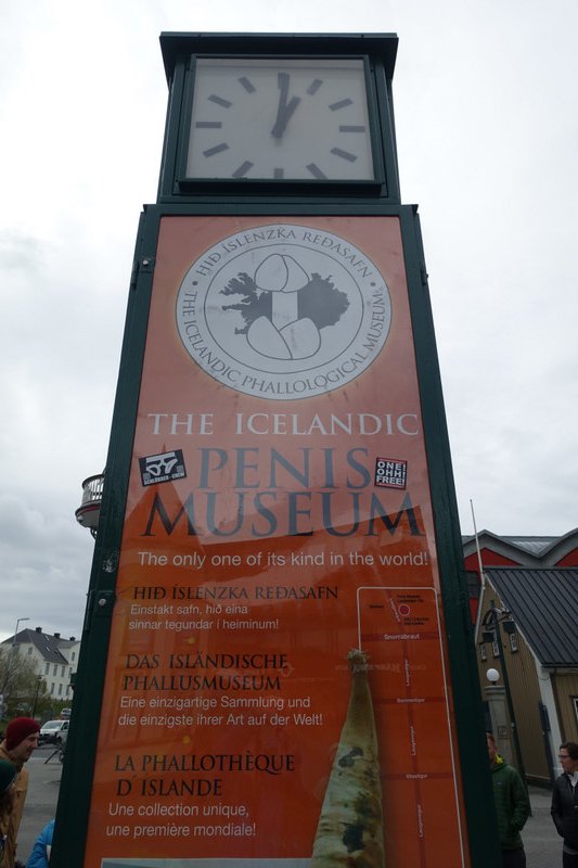 Penis Museum ... only in Iceland!