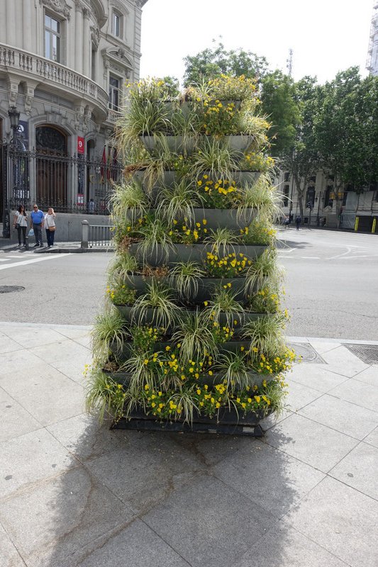Plant displays around the city.