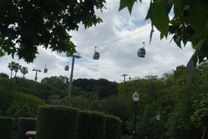 Cable Cars.