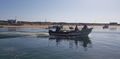 Local fishermen from the island on Ria Formosa lagoon.