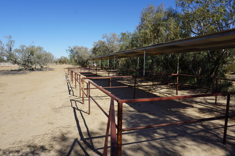 Horse stalls for Racing Round 1st Sept
