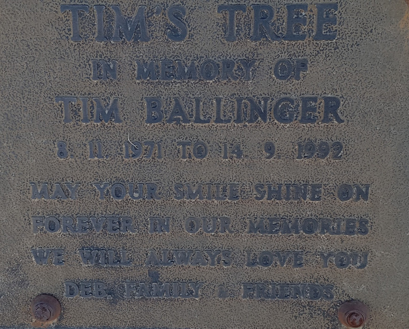 Tim Ballinger