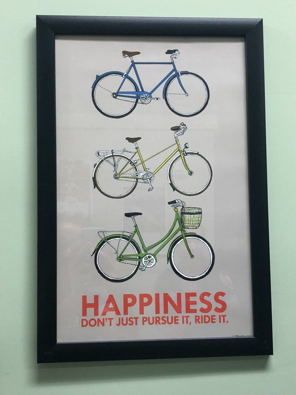 Bikes = Happiness 