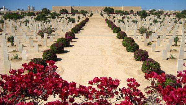 El Alamein (War Cemetery)