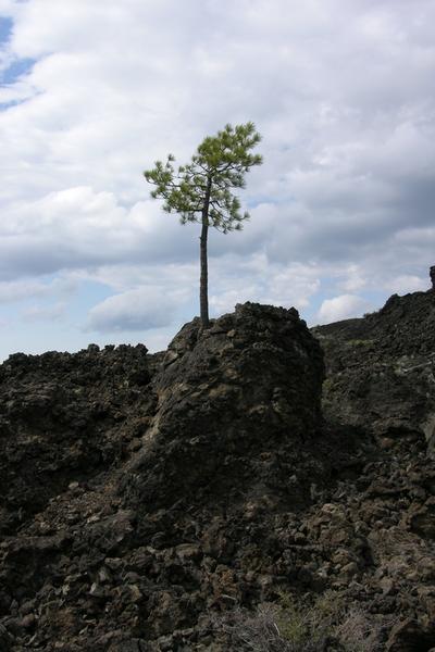 Reclaiming the Ancient Volcanic Rock