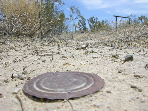Tin can lid in the desert...
