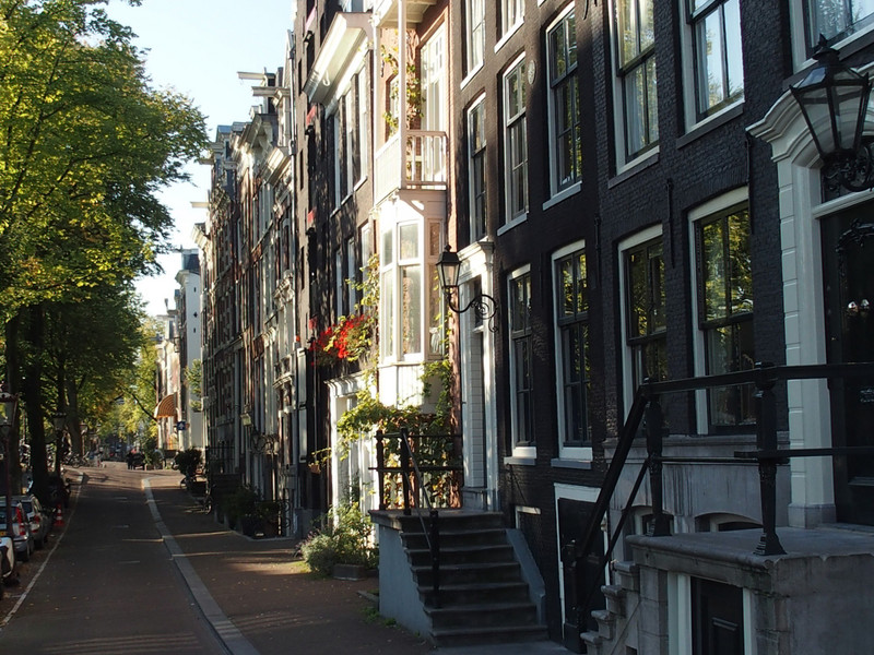 typical neighborhood street