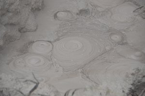 Mud Pools, Near Wai-O-Tapu