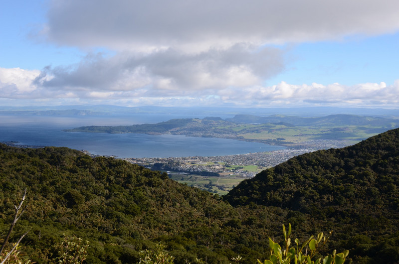 Mount Tauhara View