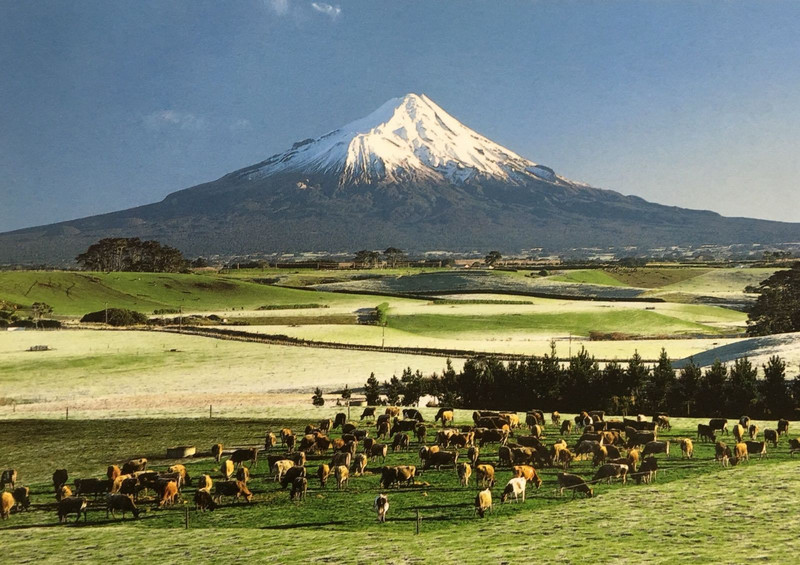 Mount Taranaki Postcard