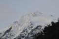 Franz Joseph Glacier Trail