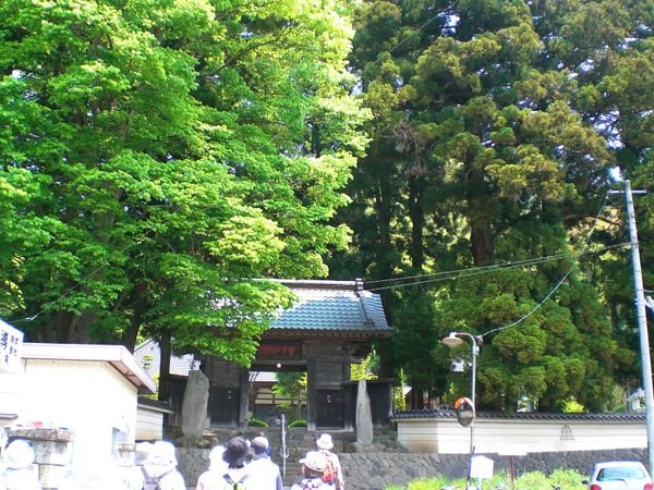 Big tree and shrine