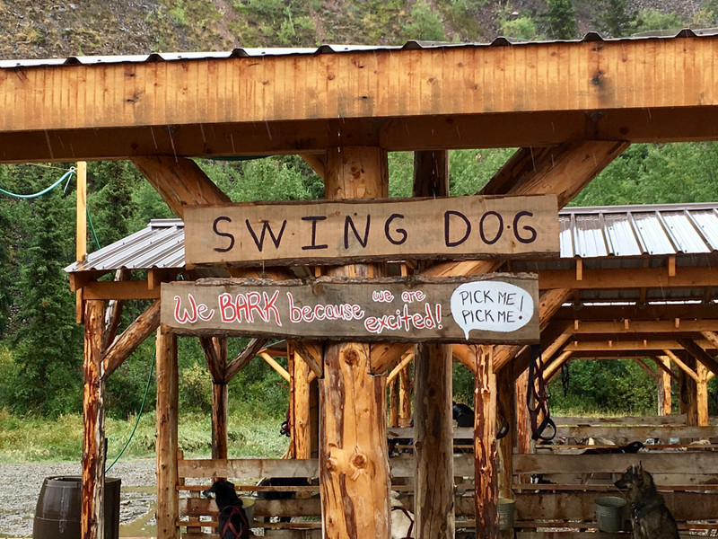 Sled dog area