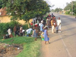 Road Side Fish Market