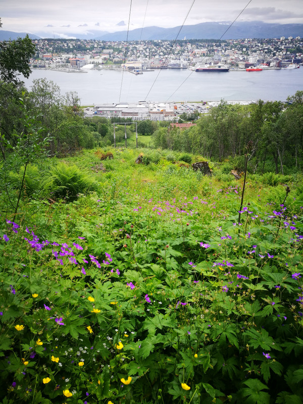 Getting up high now - looking back to Tromsø city centre and port. 