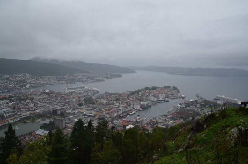 The view from the top of Mt Fløyen 