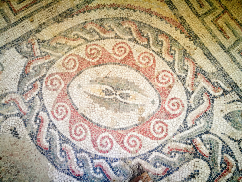 The intricate mosaics in the Villa 
