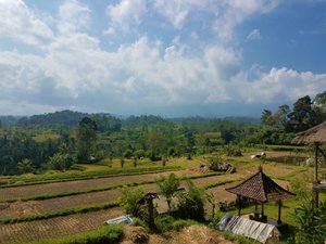 Bali country side