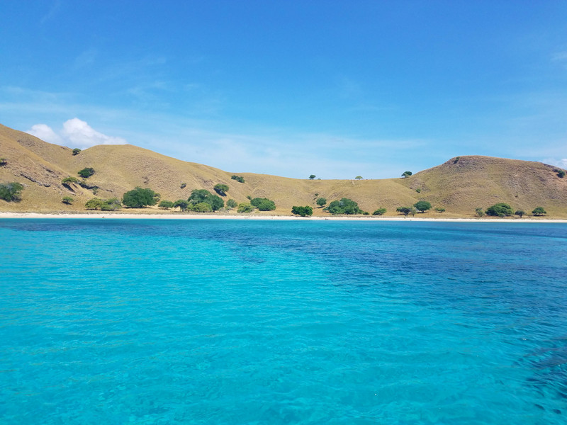 Snorkeling spot the first day in north Komodo