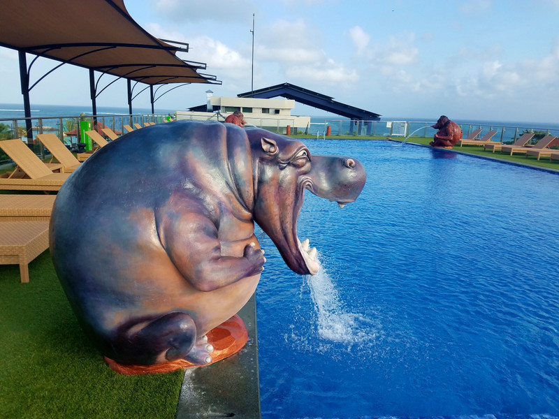 Rooftop pool in Bali - I liked this guy