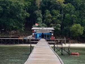 Kakaban Island - home of the jellyfish lake