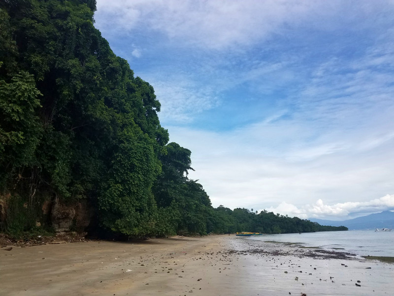 Jungle on Bunaken