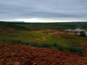 Geysir