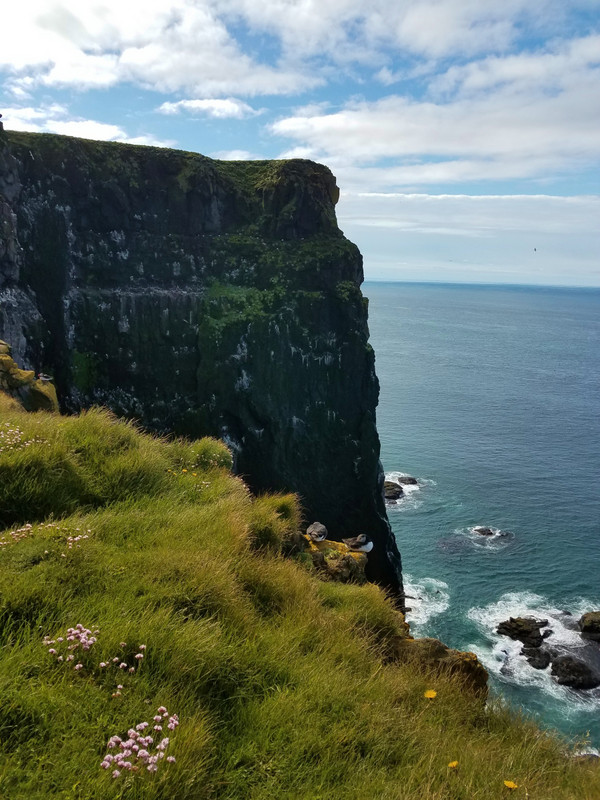 Cliffs of Latrabjarg - huge cliffs (highest is 441 meters), that birds love, including puffins. They're incredibly unstable (puffins dig holes at the edges for their nests), so if you want to look over the edge, you have to lay on your stomach to safely d