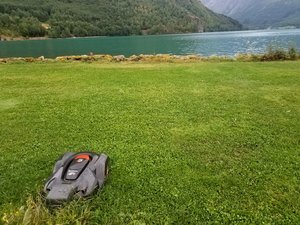 Did you know in Norway there are robots to mow your lawn? Like a lawn mower roomba...