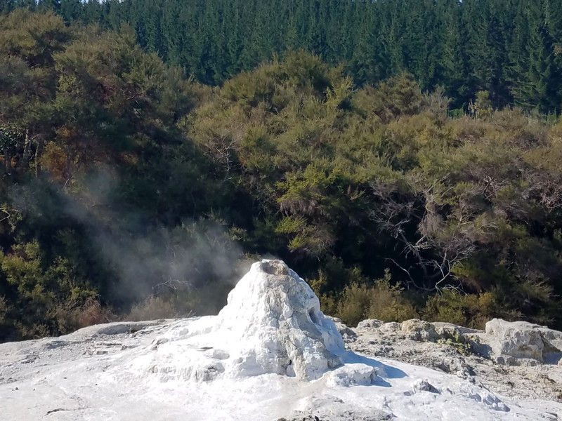 Lady Knox Geyser - to our shock, they put soap in it to make it erupt at the same time each morning