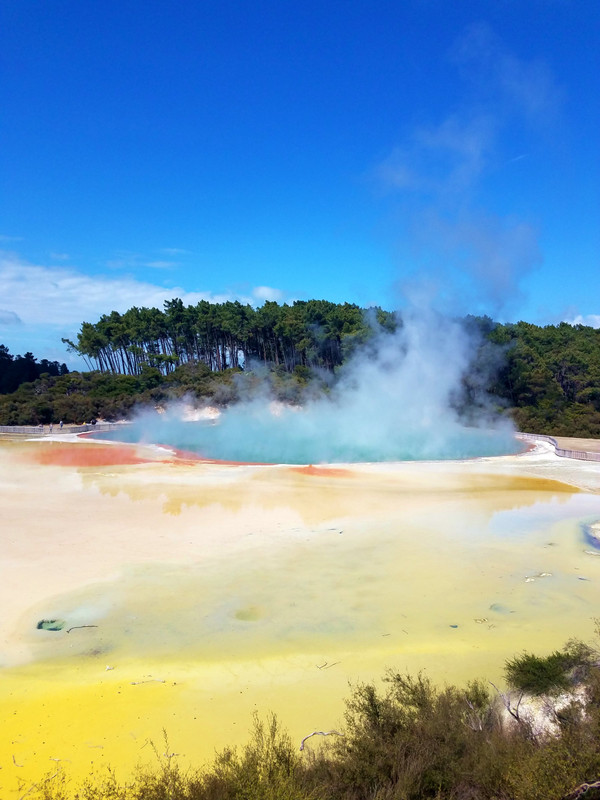 Wai-O-Tapu - hot springs with amazing colors
