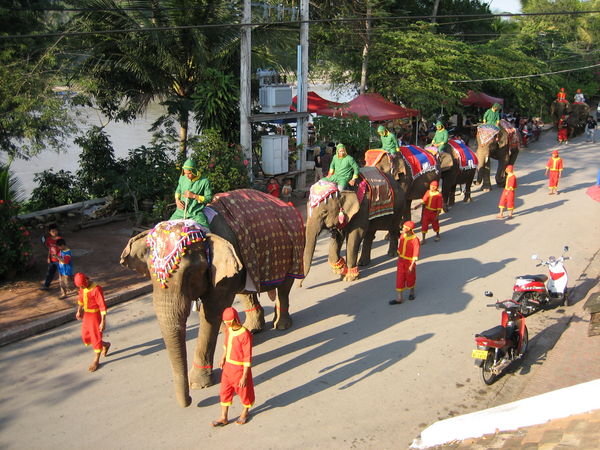 The parade of elephants out my front door