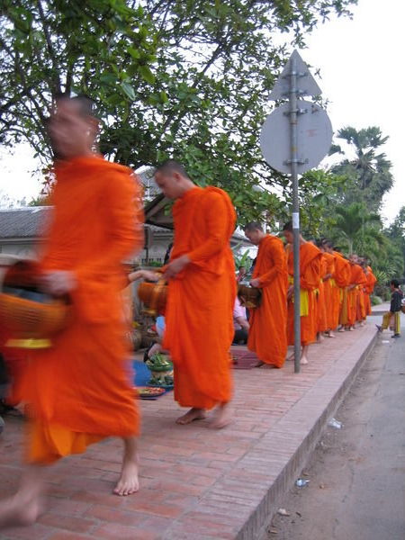 Every morning the Monks collect their alms, which is their food for the day