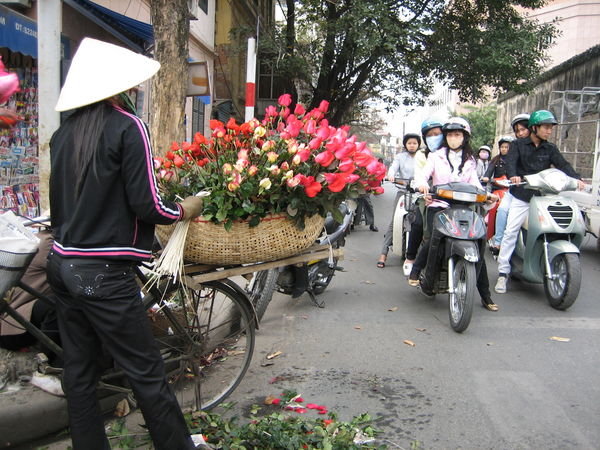 There are flower sellers everywhere you go
