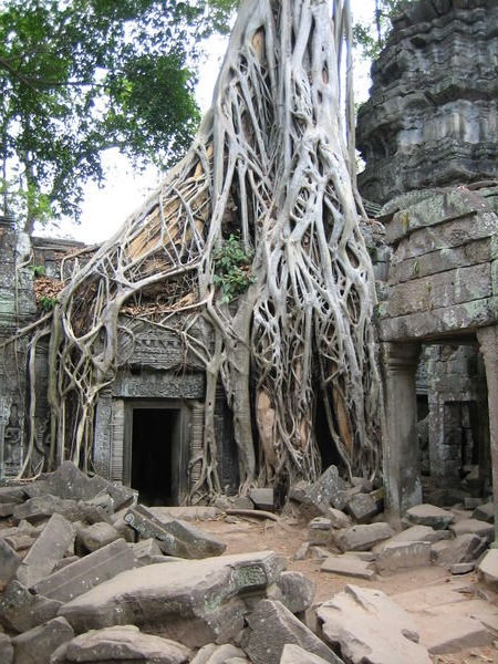Ta Phrom, but the closest I got to Lara Croft was the Tomb Raider cocktail at the Red Piano!!
