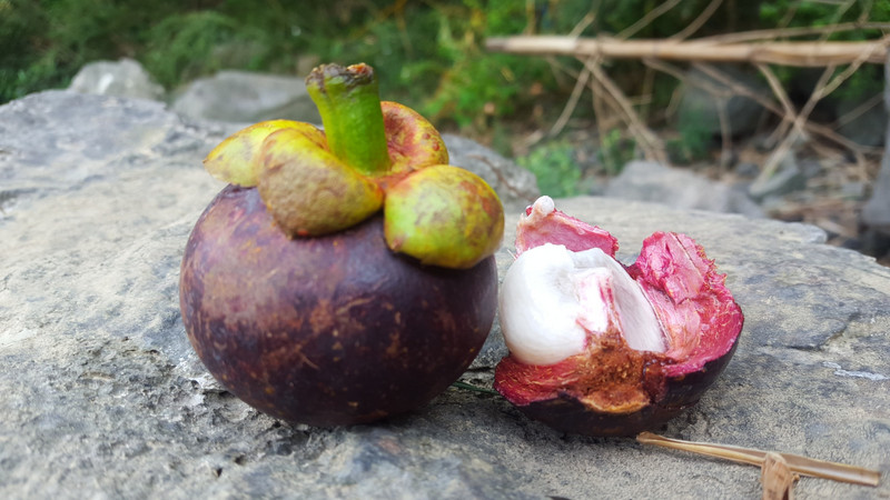 The magically delicious fruit I ate next to the river