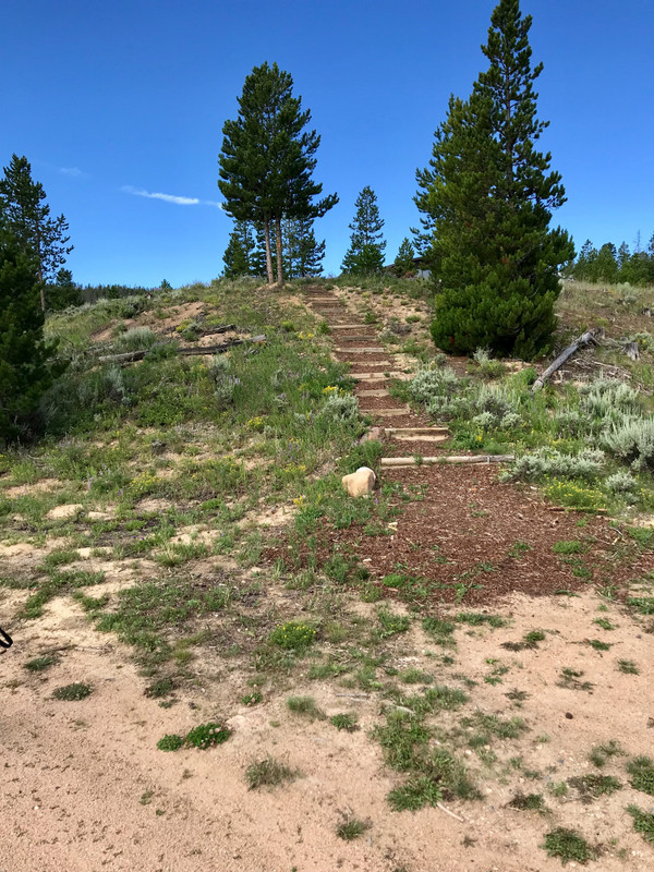 Trail to Upper Middle Mountain