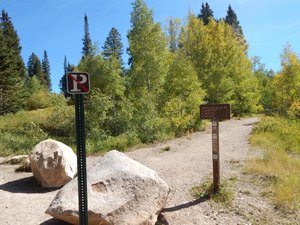 main trail to lake viewing