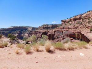 Shafer Trail top