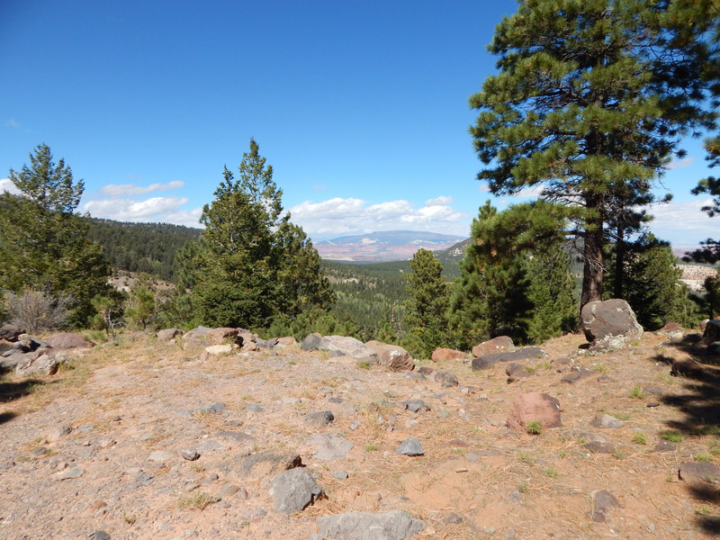 good pine camp view