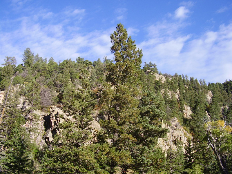 Rio Pueblo Canyon