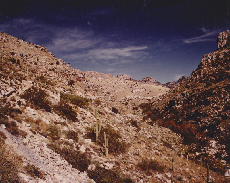 Catalina Mts