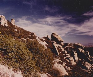 Catalina Mts