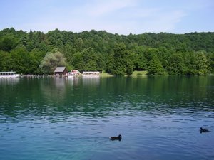 upper lake boat dock
