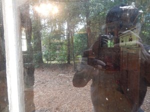 log cabin reflection