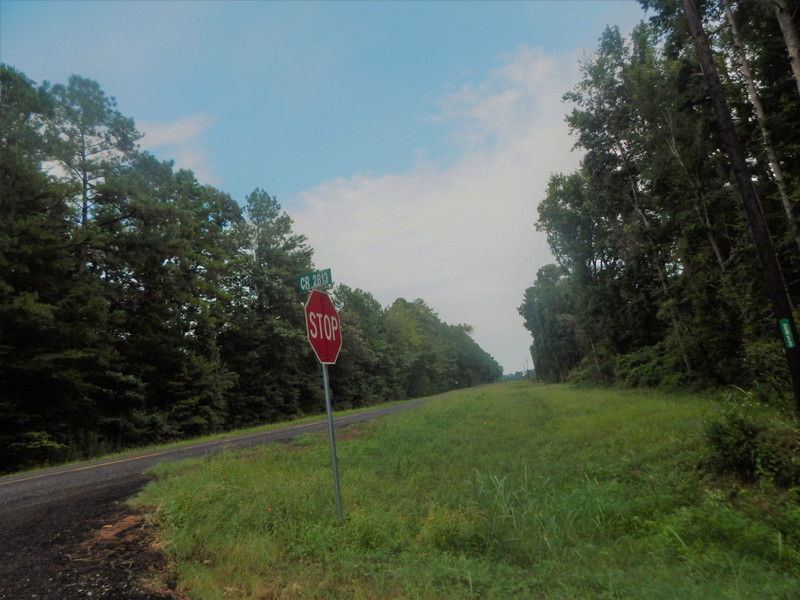 County Road 2813
