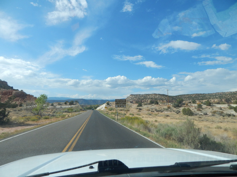 to Petrified Forest State Park