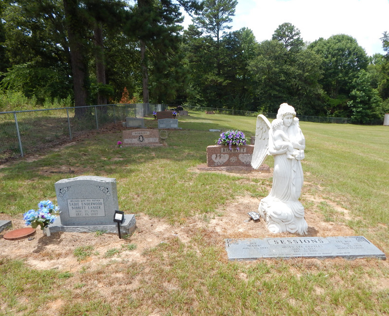 Cherokee County Road 4601, Myrtle Springs Cemeteru